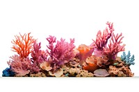 Coral reef aquarium outdoors nature. AI generated Image by rawpixel.