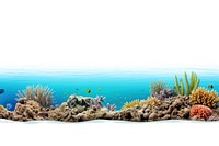 Great barrier reef outdoors aquarium nature. AI generated Image by rawpixel.