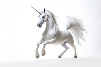 White unicorn stallion animal mammal. AI generated Image by rawpixel.