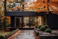 Outdoor house autumn architecture building. 