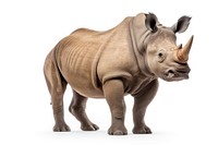 Rhino wildlife animal mammal. AI generated Image by rawpixel.