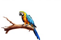 Parrot animal yellow macaw. AI generated Image by rawpixel.