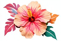 Hibiscus flower plant white background inflorescence. AI generated Image by rawpixel.
