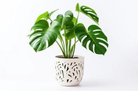 Monstera tree planted white ceramic pot vase leaf houseplant. AI generated Image by rawpixel.