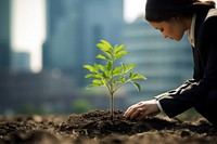 Planting a tree gardening outdoors nature. AI generated Image by rawpixel.
