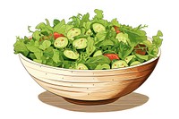 Eating salad bowl vegetable plant food. 