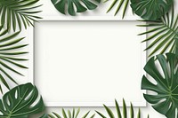 Palm leaves backgrounds plant green. 