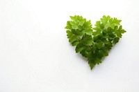 Healthcare parsley plant herbs. AI generated Image by rawpixel.