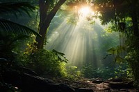 Jungle sunlight tree vegetation. AI generated Image by rawpixel.