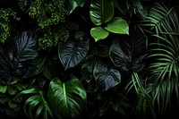 Green plants backgrounds outdoors tropics. AI generated Image by rawpixel.