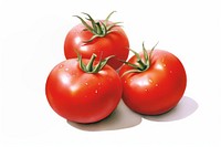 Tomatoes vegetable fruit plant. 