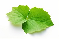 Green Leaf green leaf plant. AI generated Image by rawpixel.