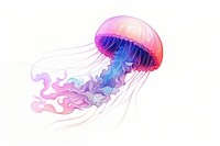Jellyfish drawing invertebrate transparent. AI generated Image by rawpixel.