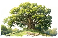 Oak tree forest plant. AI generated Image by rawpixel.