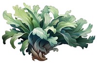 Staghorn Fern vegetable plant food. AI generated Image by rawpixel.