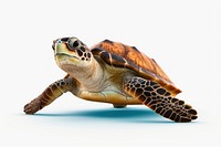 A sea turtle swimming reptile animal. AI generated Image by rawpixel.