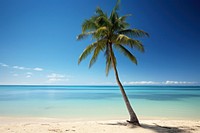 Plam tree beach outdoors nature. AI generated Image by rawpixel.