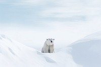 Winter bear wildlife mammal. AI generated Image by rawpixel.