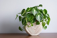 Sweetheart Plant plant vase leaf. AI generated Image by rawpixel.