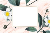 White flower frame aesthetic background