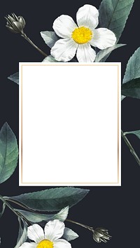 White flower frame iPhone wallpaper