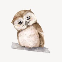 Cute baby owl watercolor illustration 