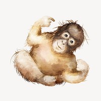 Cute baby orangutan watercolor illustration 