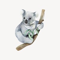 Cute baby koala watercolor illustration