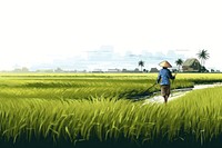 Agriculture rice field farm agriculture outdoors. 