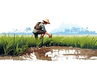 Agriculture rice field agriculture farm outdoors. AI generated Image by rawpixel.
