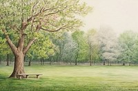 Tree park landscape outdoors. 