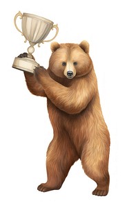 Two brown bear holding trophy mammal animal white background. 