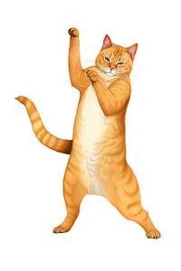 Brown cat dancing mammal animal pet. 