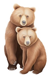 Two brown bears holding trophy mammal animal white background. 