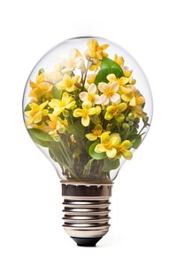 Lightbulb flower plant white background. AI generated Image by rawpixel.