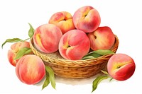 Fruit basket peach apple plant. AI generated Image by rawpixel.