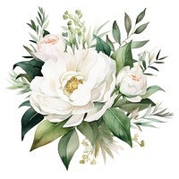 White flowers rose plant white. AI generated Image by rawpixel.
