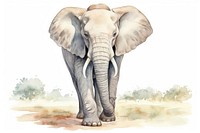 Animal elephant wildlife cartoon. 