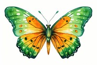 Animal butterfly insect white background. AI generated Image by rawpixel.