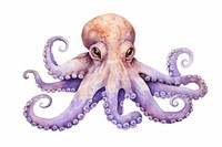 Animal octopus cartoon white background. AI generated Image by rawpixel.