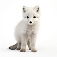 Arctic fox wildlife mammal animal. AI generated Image by rawpixel.