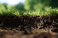 Grass soil outdoors nature. 