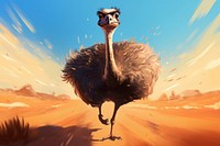 Ostrich animal nature bird. 