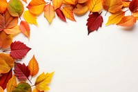 Frame Of Autumn Leaves autumn leaves plant. AI generated Image by rawpixel.