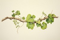 Vine plant leaf food. AI generated Image by rawpixel.