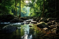 Jungle vegetation landscape outdoors. 