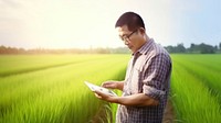 photo of a man farmer with tablet working in rice field.  