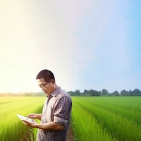 photo of a man farmer with tablet working in rice field.  