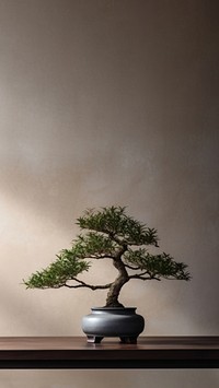 photo of a bonsai tree in the room. AI generated Image by rawpixel. 