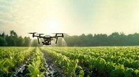 photo of drone in agriculture, drone spraying water.  